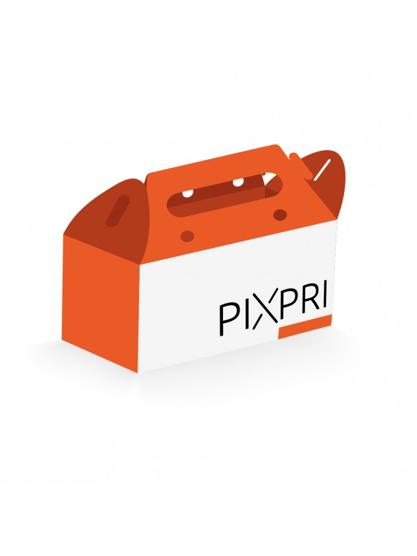 Cestino con manico IV